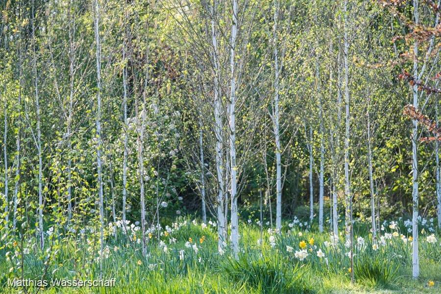 Cristine Bendix, Foto: Matthias Wasserschaff