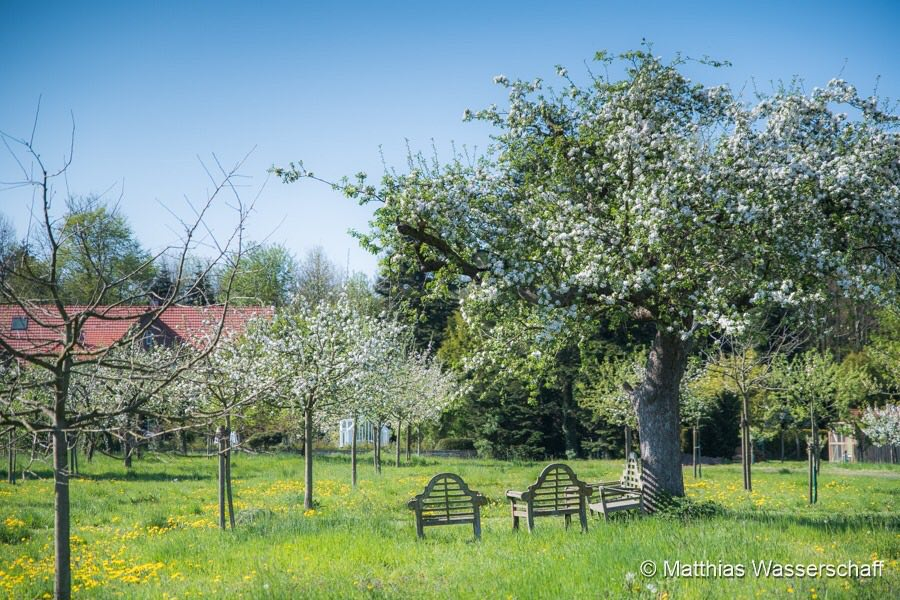 Cristine Bendix, Foto: Matthias Wasserschaff