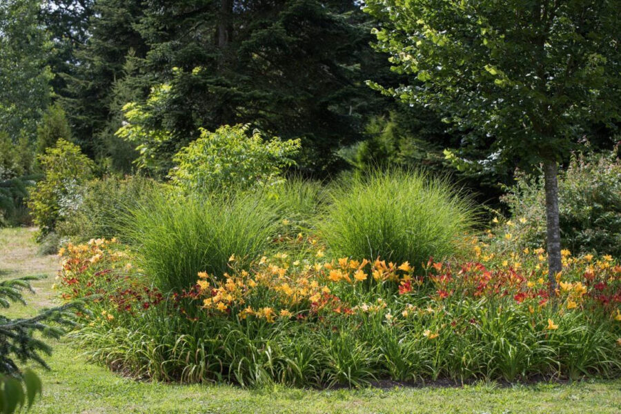 Cristine Bendix, Foto: Matthias Wasserschaff