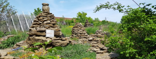 Hortus Insectorum. Foto: Markus Gastl