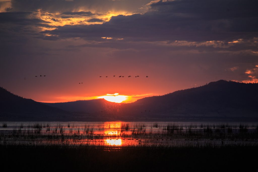 Goose Lake, SOnnenuntergang
