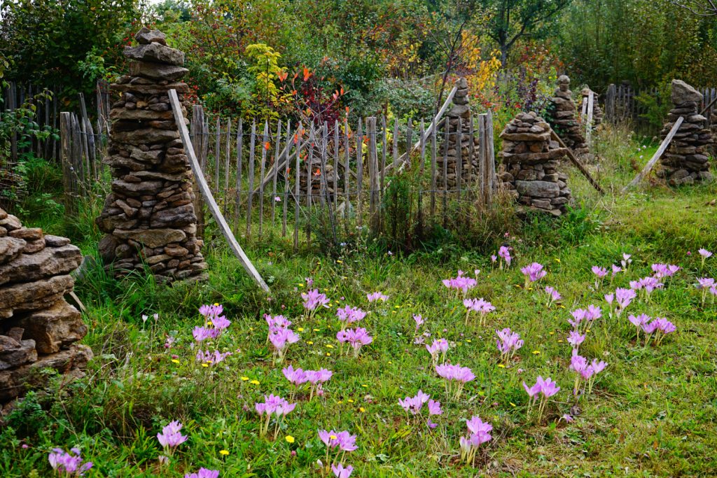 Markus Gastl, 3-Zonen-Garten