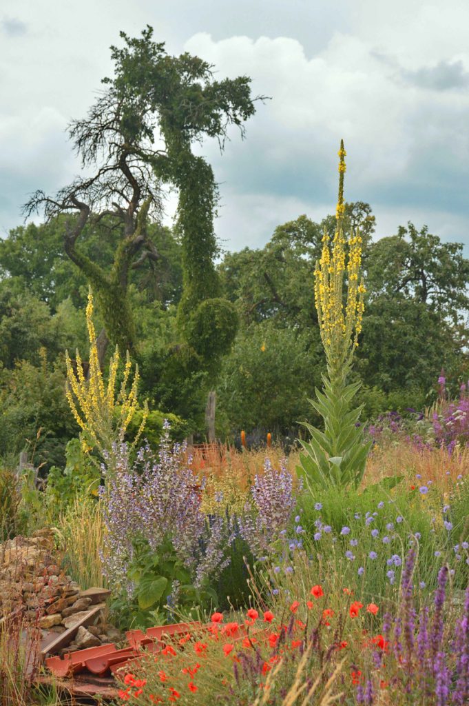 Markus Gastl, 3-Zonen-Garten