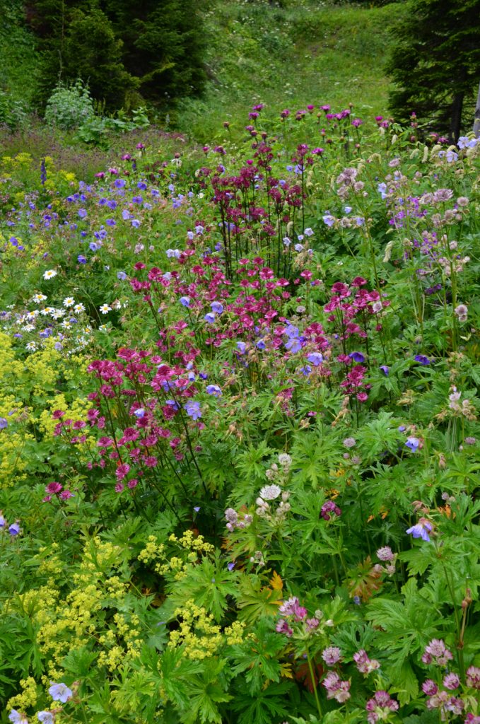 Foto: Sven Nürnberger