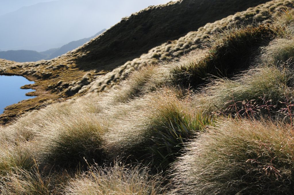 Foto: Sven Nürnberger