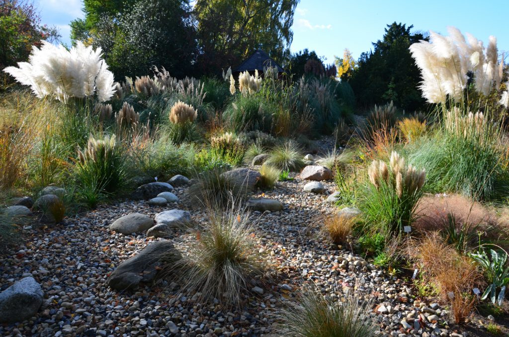 Foto: Sven Nürnberger