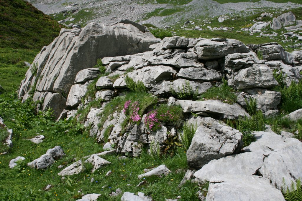 Foto: Sven Nürnberger