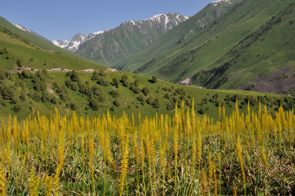 Foto: Cassian Schmidt, Kirgisistan