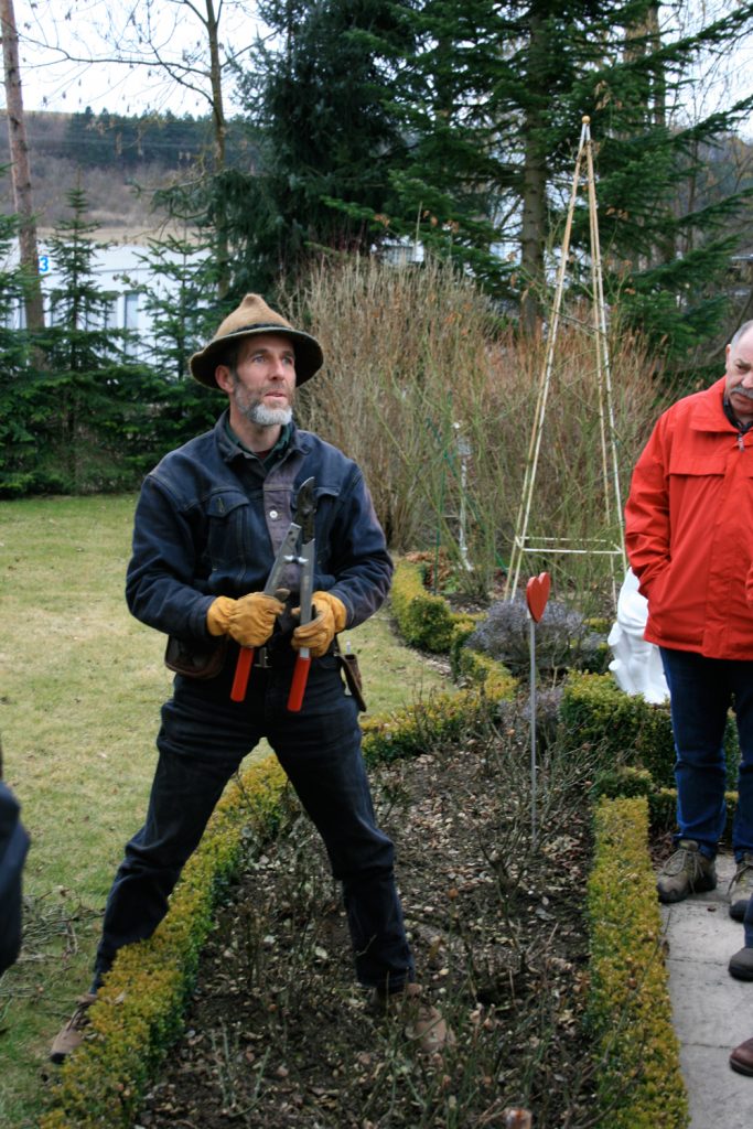 Werner Ruf, Rosen schneiden