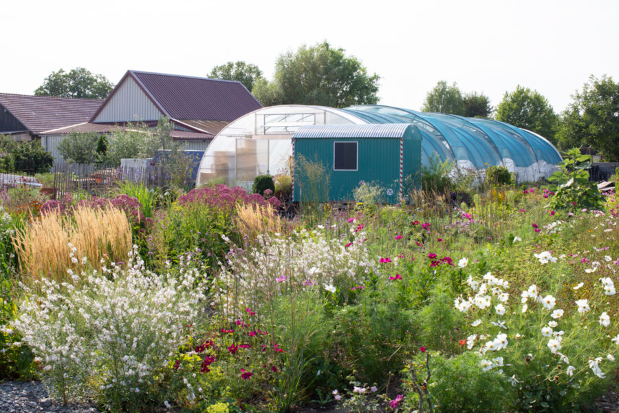 Die Staudengärtnerei von Till Hofmann und Fine Molz. Foto: Marion Nickig