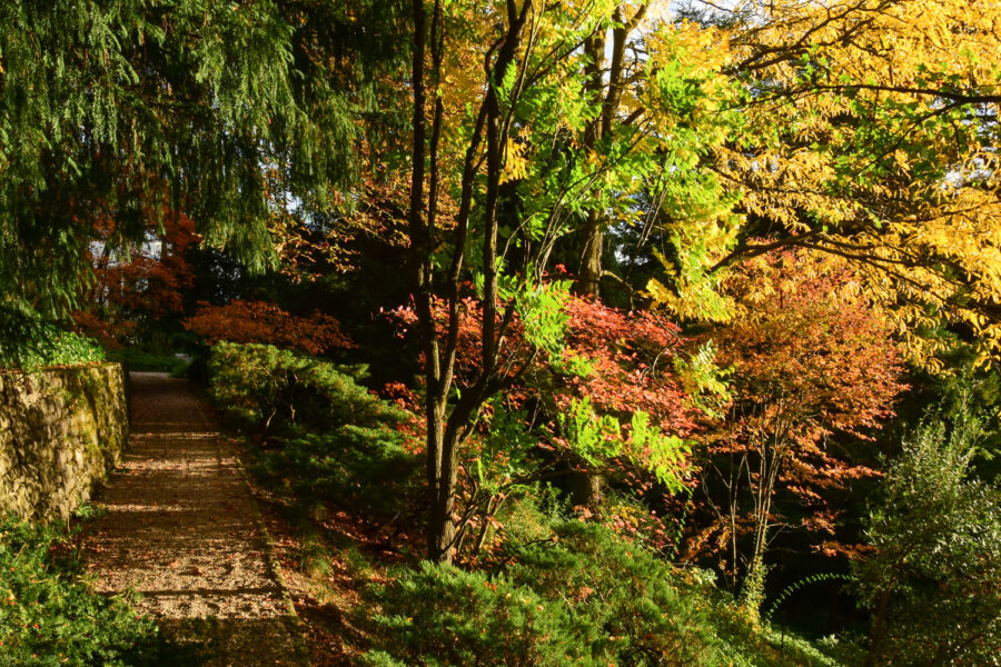 Arboretum Park Härle, Foto: Michael Dreisvogt