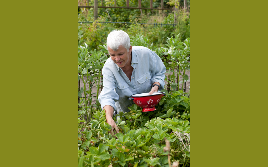 Renate Hücking in ihrem Garten, Foto: Renate Hücking