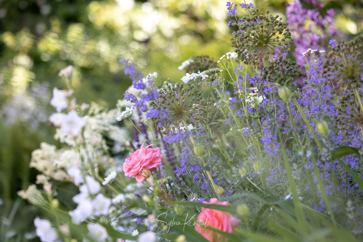 Romantischer Garten, Foto: Sylvia Knittel