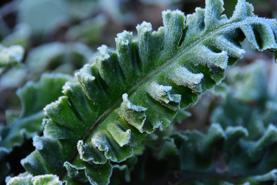 Foto: Michael Dreisvogt