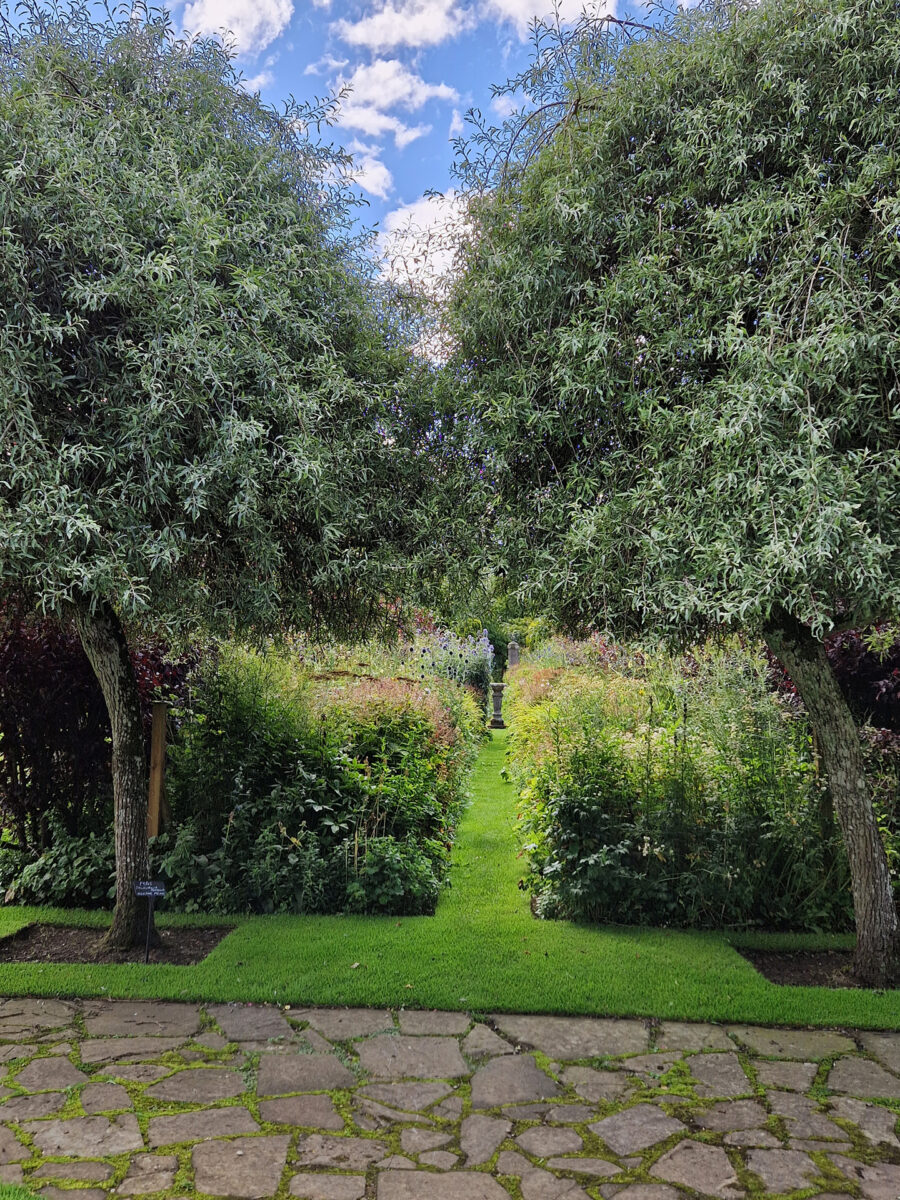 Foto: Julia Hagemeister