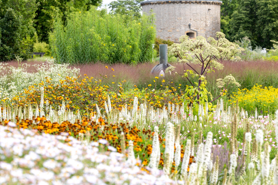 Das große Staudenband von Petra Pelz auf der BUGA Foto: Sylvia Knittel