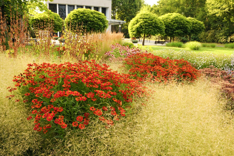 Foto: Joachim Hegmann