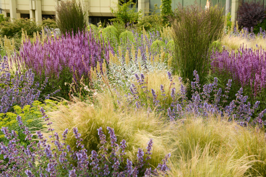 Foto: Joachim Hegmann