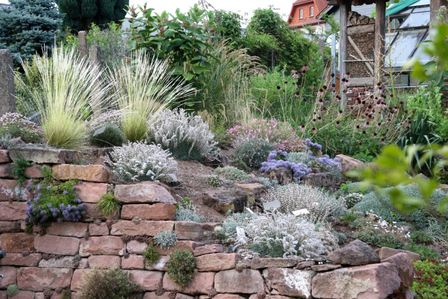 Foto: Thomas Eidmann, Dornpolsterflur , trockenheitsverträgliche Pflanzkombinationen