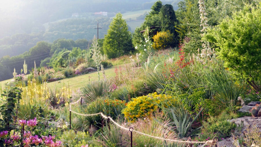Der Wüstengarten Foto: Gerhard Gussmagg
