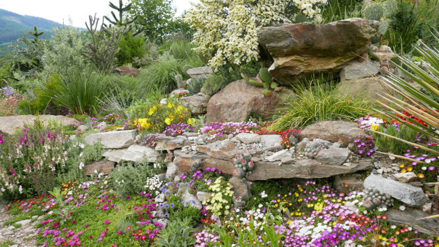 Der Wüstengarten Foto: Gerhard Gussmagg