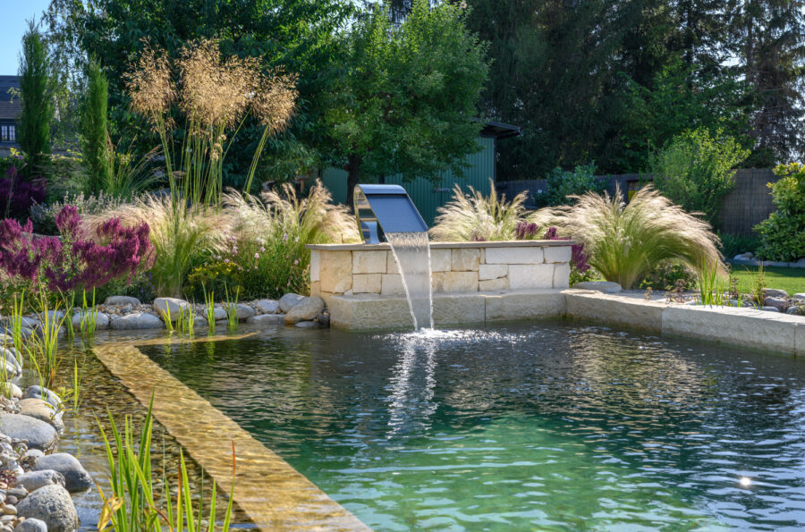 Naturpool, Foto: Friedrich Jansenberger