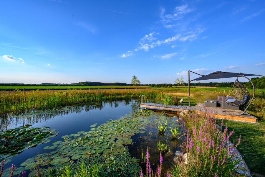Schwimmteich, Foto: Friedrich Jansenberger