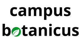 campus botanicus - Online-Vorträge und Webinar-Kurse zu aktuellen Gartentrends und Botanik