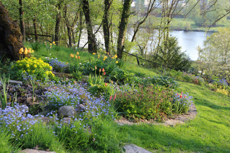 Foto: Dorothea Steffen