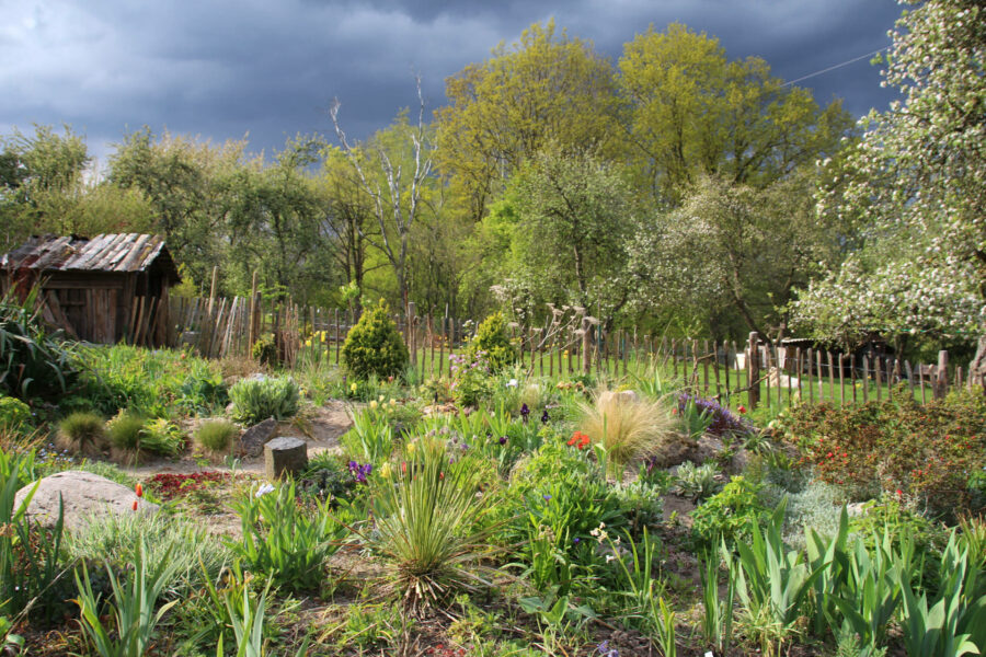 Foto: Dorothea Steffen