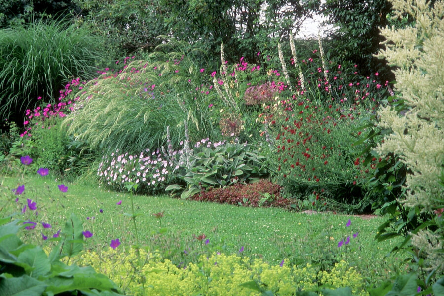 Foto: Hermann Gröne