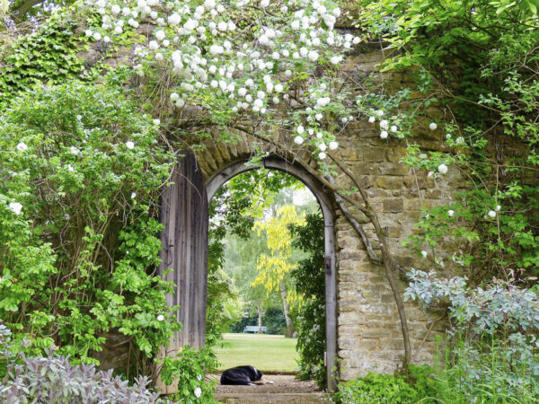 Munstead Wood, Foto: Anja Birne