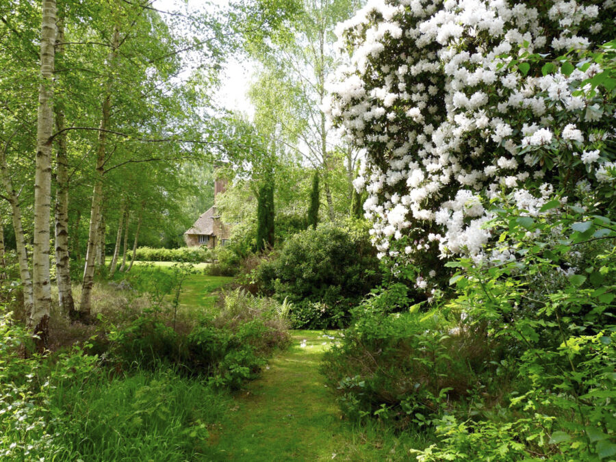Munstead Wood Foto: Anja Birne
