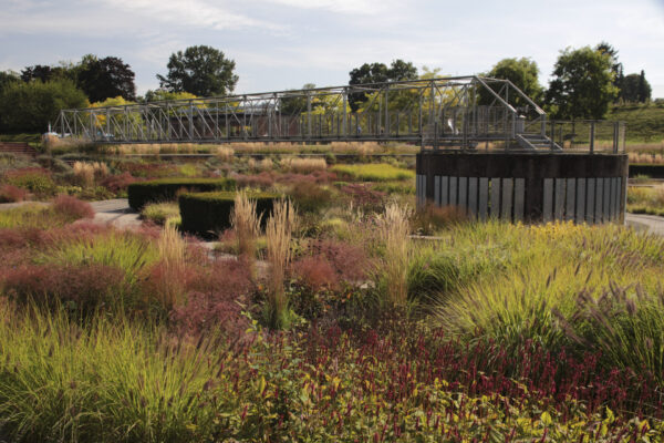 Foto: Dorothea Steffen