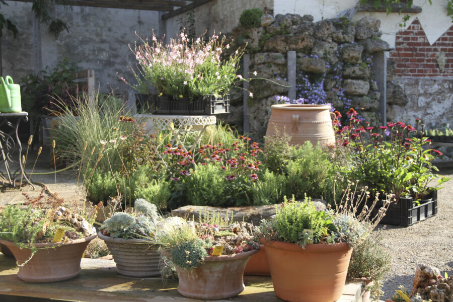 Steingarten in Töpfen, Foto: Thomas Eidmann