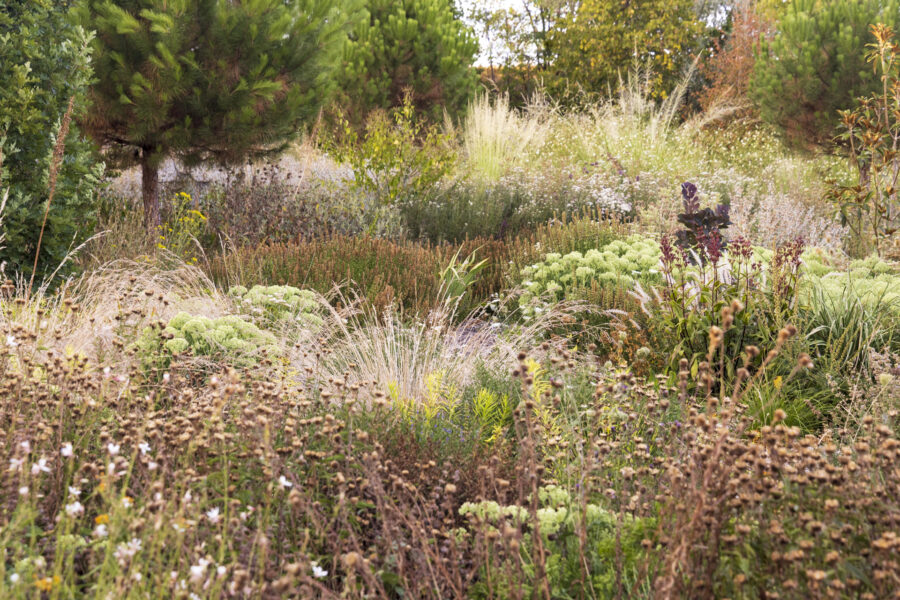 Foto: Sylvia Knittel, Nachtigallenhof