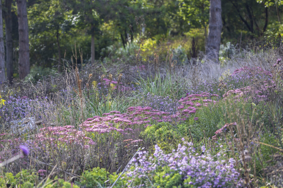 Foto: Sylvia Knittel. Nachtigallenhof