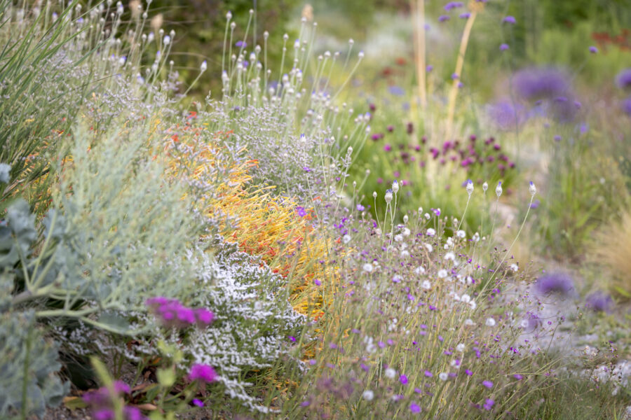 Die Staudengärtnerei, Foto: Sylvia Knittel