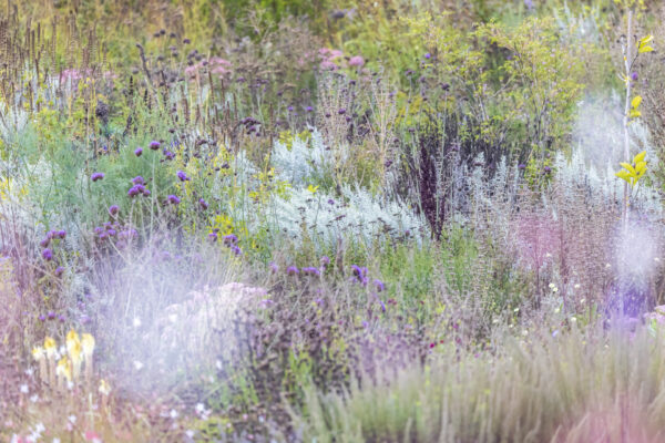 Foto: Sylvia Knittel, Nachtigallenhof