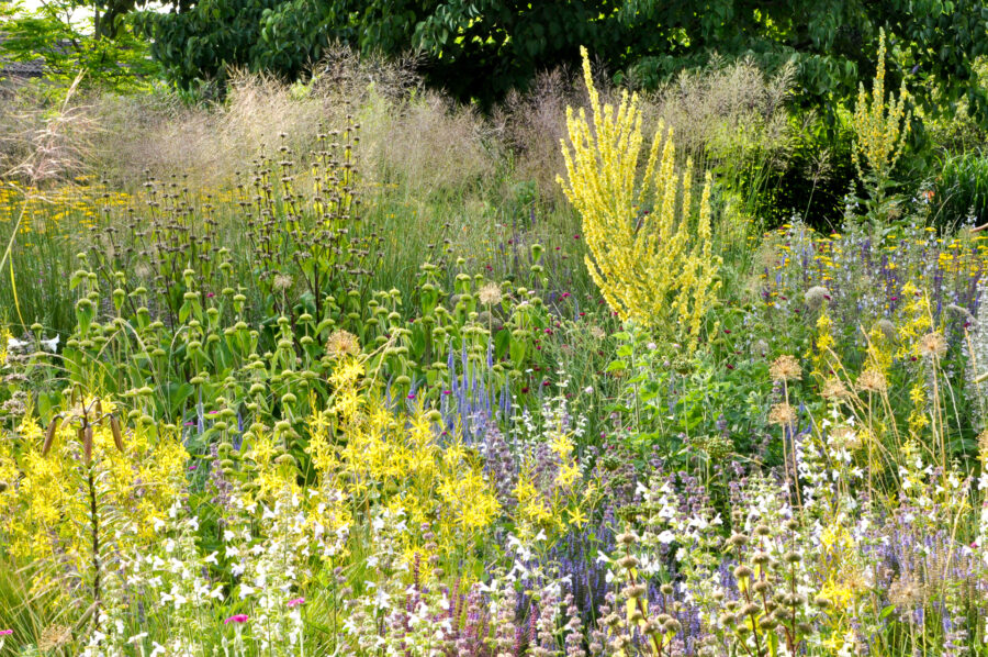 Foto: Cassian Schmidt, Hermannshof