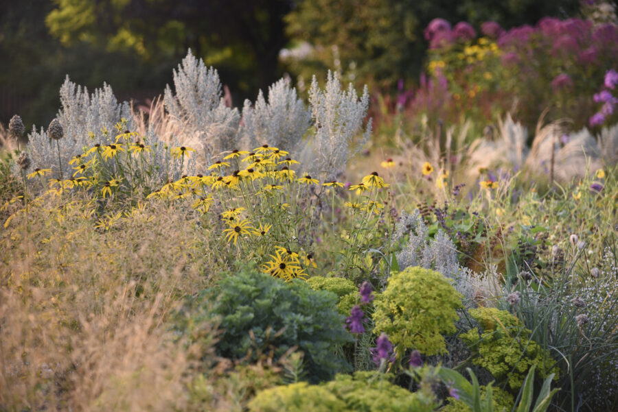 Foto: Katrin Lugerbauer