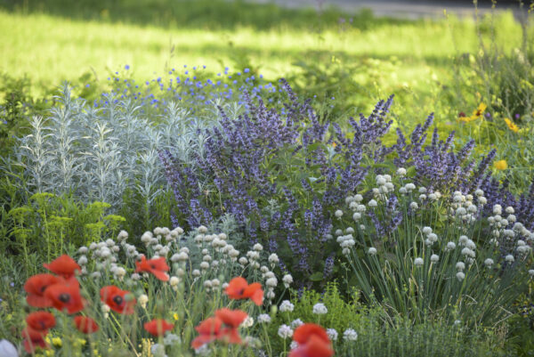 Foto: Katrin Lugerbauer