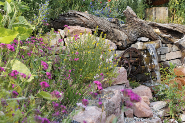 Foto: Sylvia Knittel, BUGA Mannheim, Naturgarten e.V.