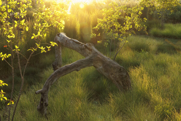 Foto: Sylvia Knittel