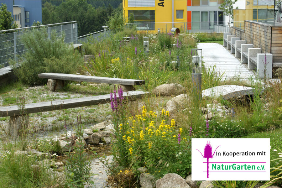 Foto: Markus Kumpfmüller