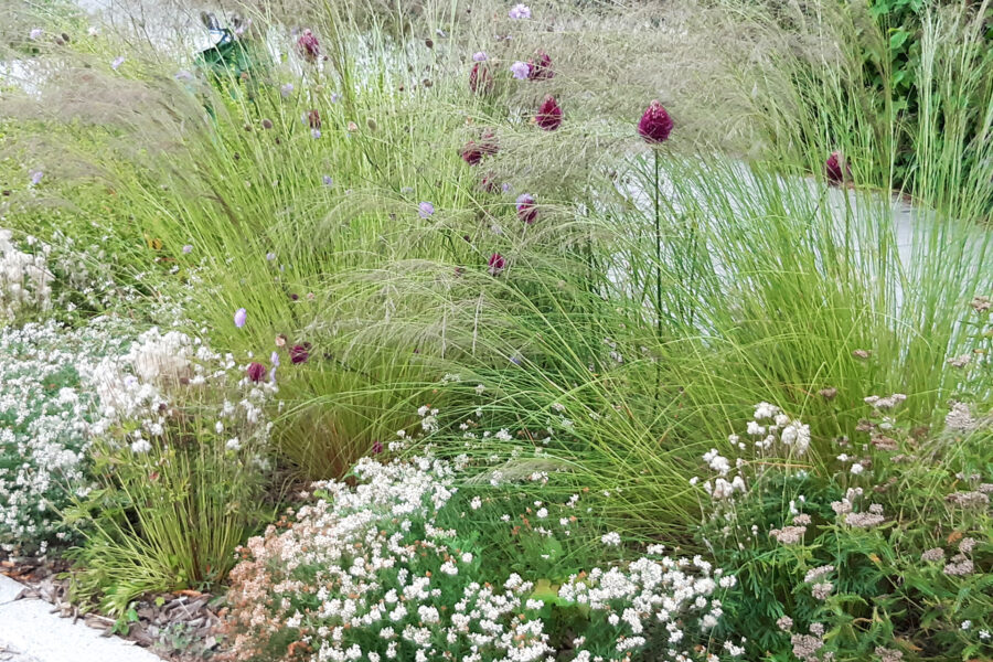 Foto: Susanne Spatz-Behmenburg