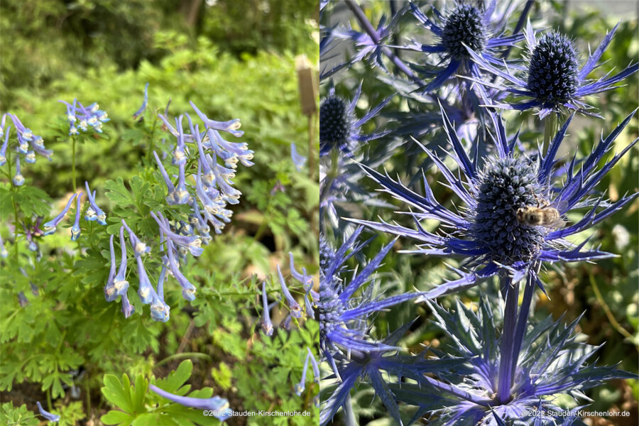 Fotos: Andreas Kirschenlohr