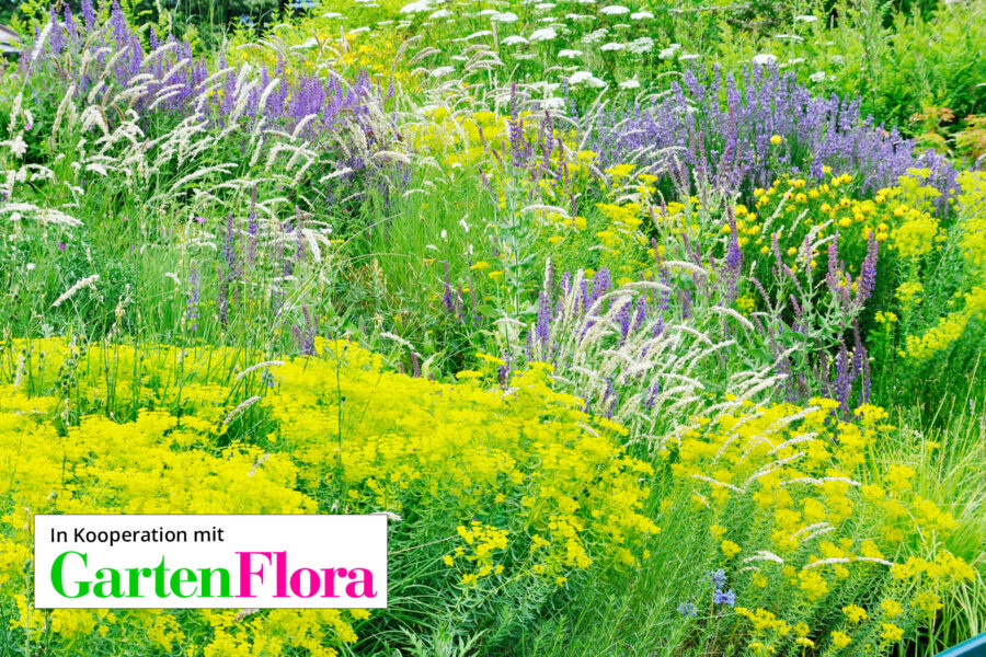 Foto: Cassian Schmidt