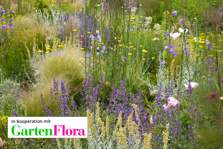 Foto: Joachim Hegmann