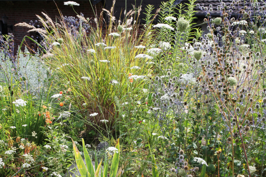 Foto: Dorothea Steffen, Blackbox Gardening